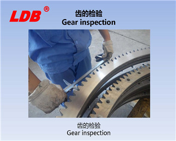 齒的檢驗 齒的檢驗